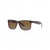 Óculos de Sol RAY BAN 4165 6597T5