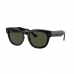Óculos de Sol RAY BAN 0298S 901/31