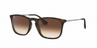 Óculos de Sol RAY BAN 4187L 856/13