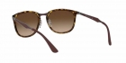 Óculos de Sol RAY BAN 4299 710/13