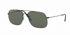 Óculos de Sol RAY BAN 3595L 90149A