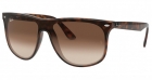Óculos de Sol RAY BAN 4447N 710/13