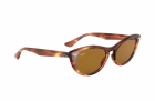 Óculos de Sol RAY BAN 4314N 954/33