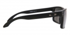 Óculos de Sol OAKLEY 9102L D6