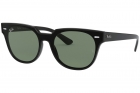 Óculos de Sol RAY BAN 4368NL 601/71