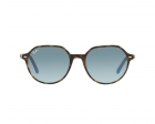 Óculos de Sol RAY BAN 2195 13163M