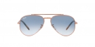 Óculos de Sol RAY BAN 3625 9202/3F