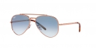 Óculos de Sol RAY BAN 3625 9202/3F