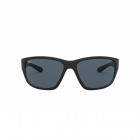 Óculos de Sol RAY BAN 4300 601SR5