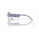 Óculos de Sol DOLCE & GABBANA 4448 337155