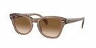 Óculos de Sol RAY BAN 0707S 664051