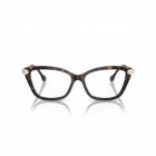 Armação SWAROVSKI 2011 1002