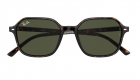 Óculos de Sol RAY BAN 2194 902/31