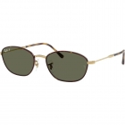 Óculos de Sol RAY BAN 3694 9242G6