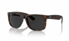 Óculos de Sol RAY BAN 4165 865/87