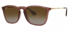 Óculos de Sol RAY BAN 4187 6593T5