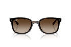 Óculos de Sol RAY BAN 4461D 710/13