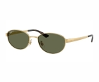 Óculos de Sol RAY BAN 3774D 001/9A